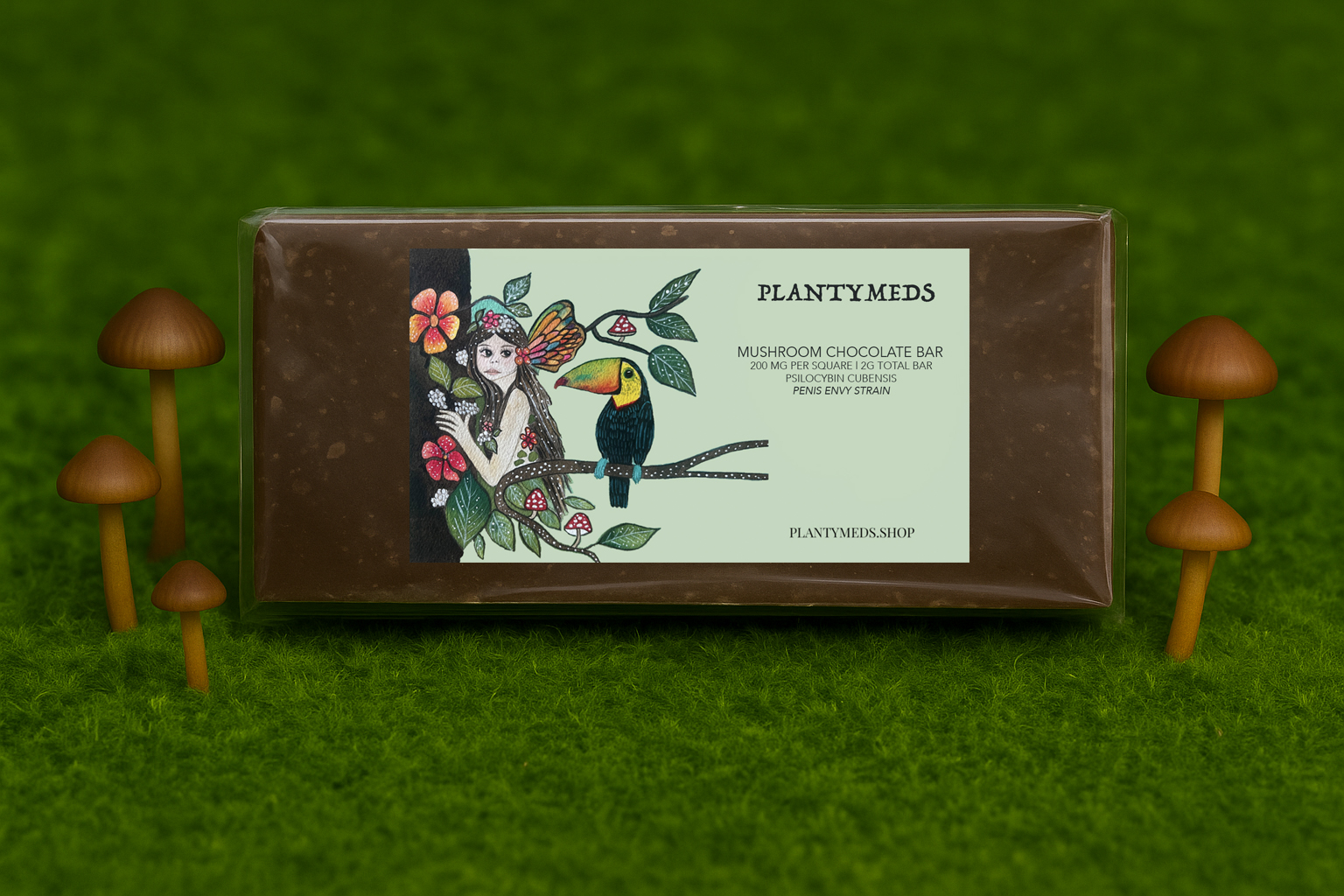 Magic Mushroom Chocolate Bar (2g)