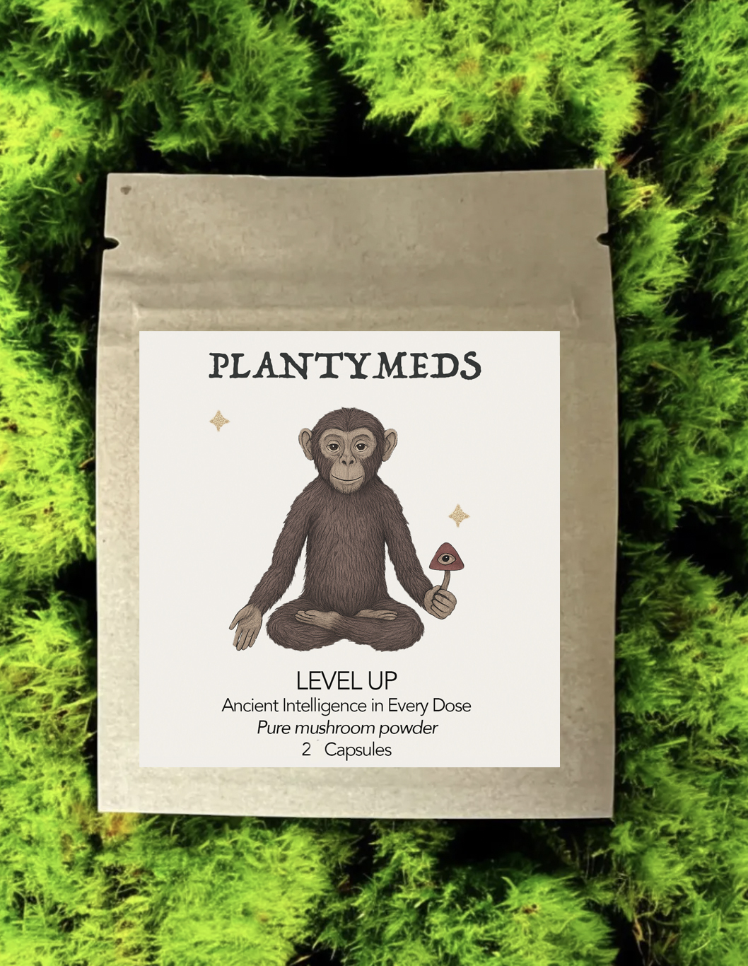 Level Up Sample Pak