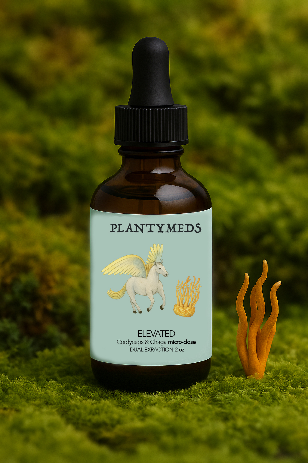 Elevated Cordyceps & Chaga