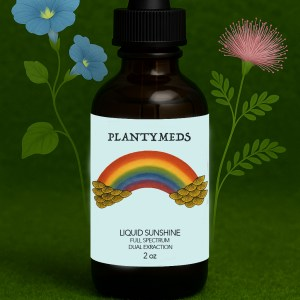 Medicinal Mushroom Ceremonial Tea