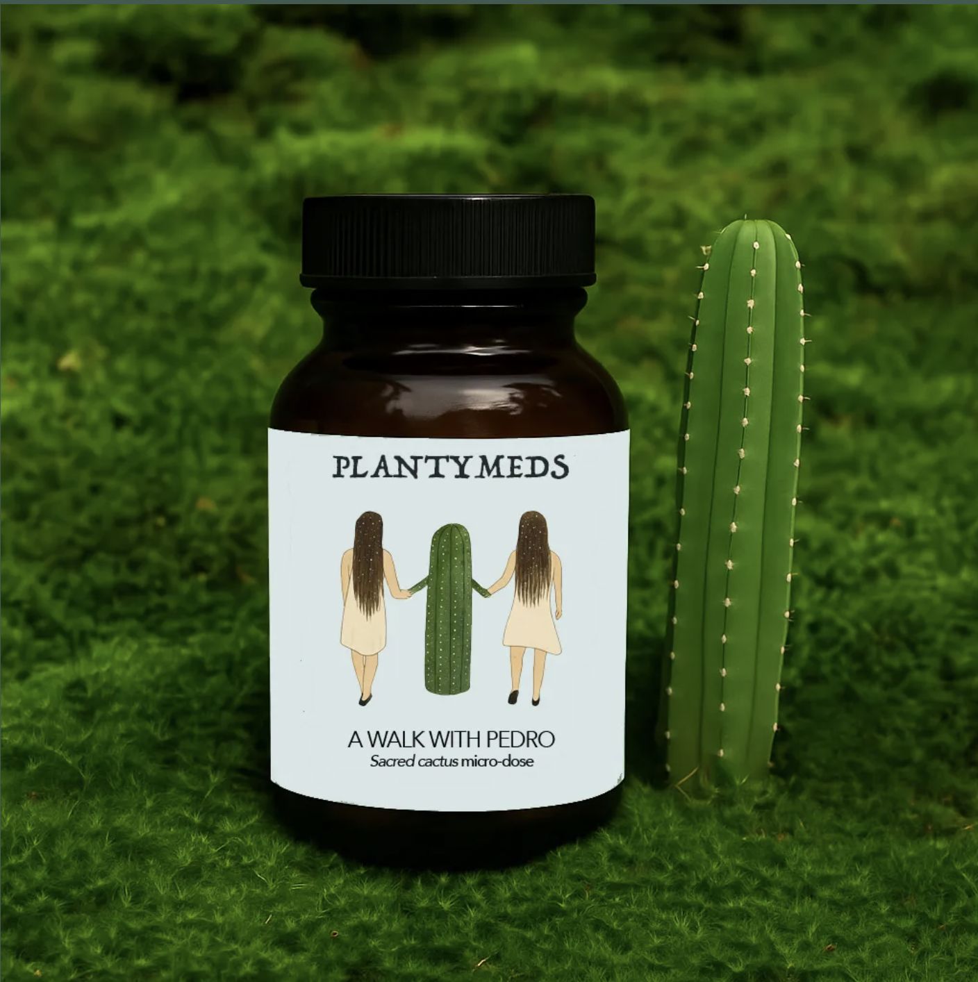 A Walk With Pedro — Sacred Cactus Micro-dose bottle