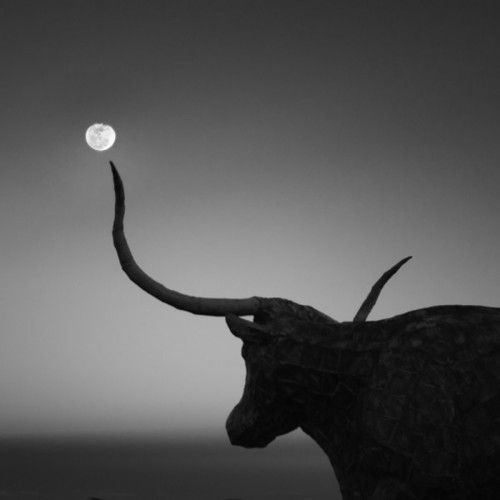 Taurus Moon Sale